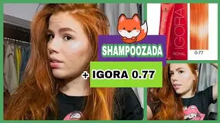 Shampoozada + pintando o cabelo com a Igora 0.77 🦊
