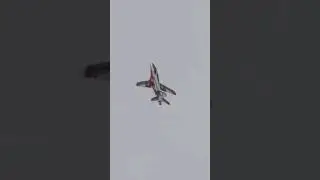 World's LARGEST RC Turbine Sport Jet !
