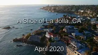 A Slice of La Jolla, CA
