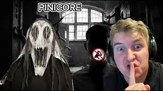 КТО СКАЖЕТ СЛОВО ИЛИ ЗВУК ТОТ БЕРЕМЕННЫЙ ИНДЮК - ИГРАЕМ В ИГРУ PANICORE