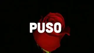 MIXTA - Reflexiones no muy profundas – Rosa