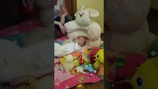 Прикорм