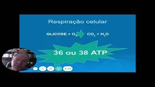 respiração celular