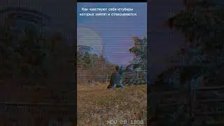 Грустное видео 