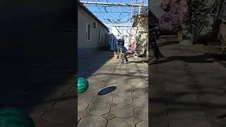 чуть не попала мячом по папе #шортс #попала #мяч #ребенокиграет #рекомендации #тикток #топ #февраль