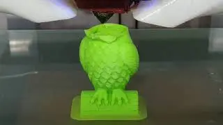 Owl on a 3D printer