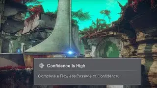 solo trials - confidence card