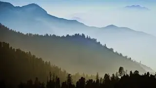 Свои руки к небу