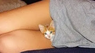 Маленькие шалуны.