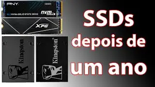 Como estão meus SSDs após 1 ANO DE USO