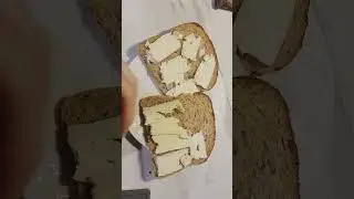 добрий ранок! goedemorgen ☀️