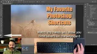 My Favorite Photoshop Shortcuts for Wildlife (or any) Photography