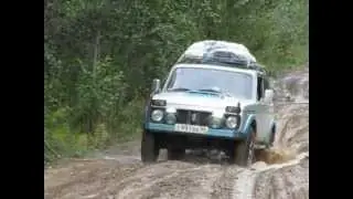 Нива, дорога и новый знак