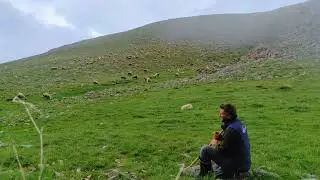 Derdimin Ortağı Sinem Bülbülü ( DERDİMİ SİZLERE DİYEYİM DAĞLAR ) Tarık Kara