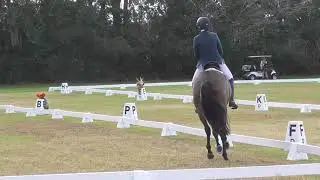 Lauren Kieffer Nicholson & Veronica OP Dressage