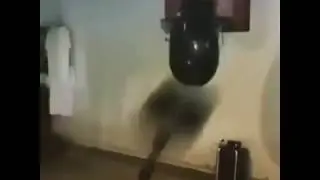 ayaz yumrukladığım duvarlar şimdi hesab soracaktır