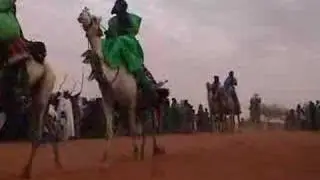 Festival touareg au Mali