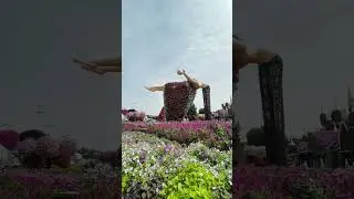 Dubai Miracle Garden!