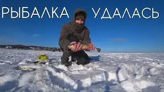 Подлёдный лов наваги на Сахалине.
