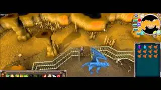 MoneyMakingOnRunescapeBlueDragons 2!