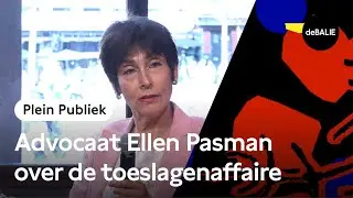 Advocaat Ellen Pasman over de toeslagenaffaire