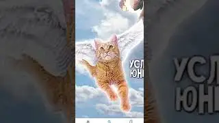 Симба Умер😥