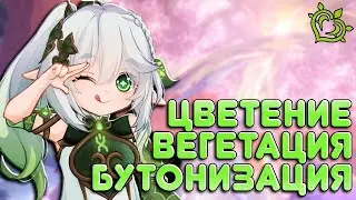 НАХИДА ОТРЯДЫ И РЕАКЦИИ | GENSHINIMPACT 3.2