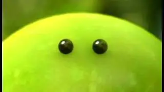 Гусеница у ручья