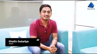 An Intern's Working Experience with Radixweb
