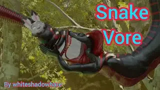 Snake vore rabbit digestion #[V- ANIM 3]