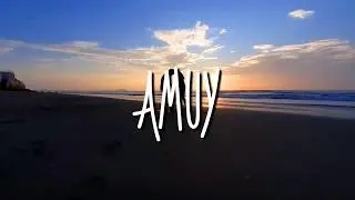 Trex - Amuy {Video Oficial}