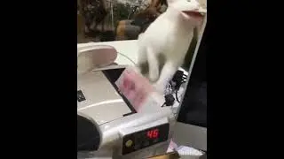 ухватил свой кусок