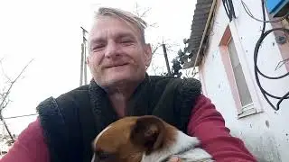 День як день, я працював , а тваринки веселилися як могли.