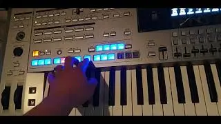 калина красная стиль TYROS 5