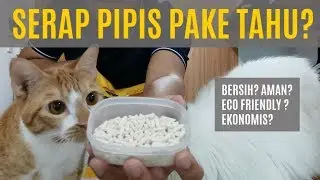 Tofu Cat Litter?