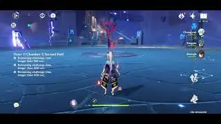 How to Clear Abyss 2.0 Floor 11 Chamber 3 (Genshin Impact)