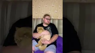 Достал всех на работе 