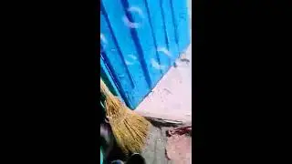 Паказываю улицу двор сматрите