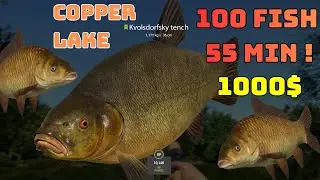 100 CARP FISH 55 MIN Copper Lake (125) | Russian Fishing 4 RF4