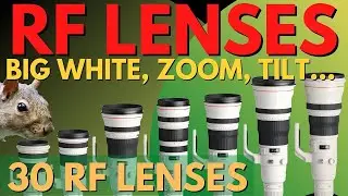 30 Canon RF Lenses