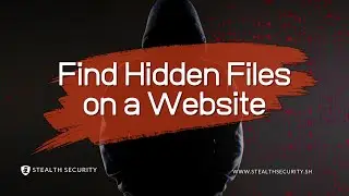 How do Discover Hidden Directories & Subdomains | Gobuster Tutorial