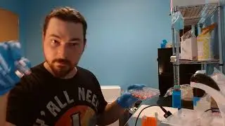 Growing & Engineering Human Cells - Class 4 - Genetic Engineering HEK 293 cells with plasmid DNA