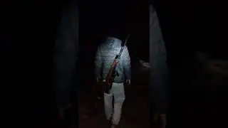 BABI HUTAN YANG MERESAHKAN WARGA