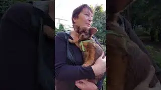 Констанция со своей любящей мамочкой, выпускник питомника чихуахуа Кастропуло Крым