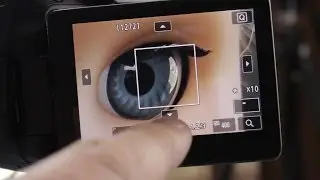 In Depth Camera Courses from Dave Dugdale