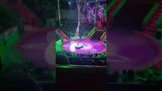 ЦИРК НИКУЛИНА 2021 | КЛОУН 🤡 ПРОМАХНУЛСЯ