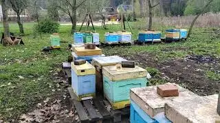 14 апреля, холод на пасеке. #пчеловодство #пасека  #пчелы