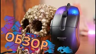 МЫШКА-ИГРУШКА // Обзор Roccat Kone Pro Air (Black)