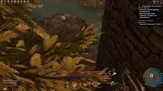 Skyforge Баг (помощь разработчикам )