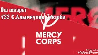√33 С.Алымкулов мектеби 4-в класс